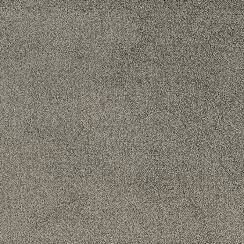 Standard Carpet Magic Moment CRP STDCRP POSH60 05