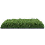 bahia artificial grass