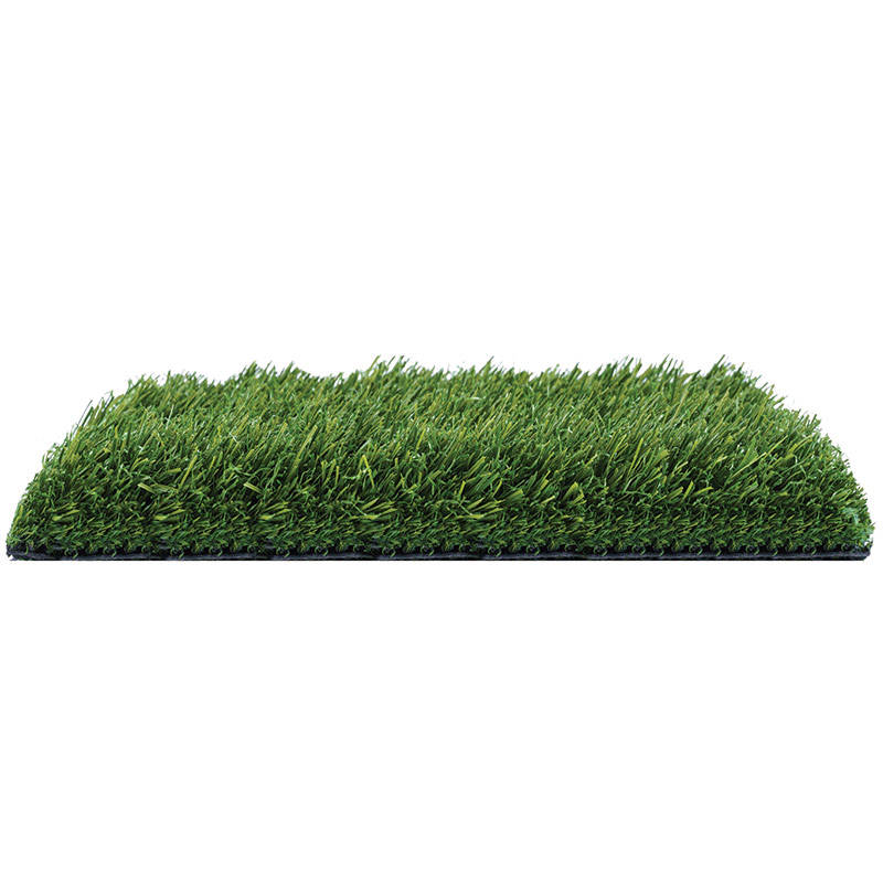 bahia artificial grass