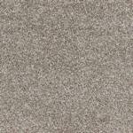 Wall To Wall Carpet CRP BLT STEDGE 04