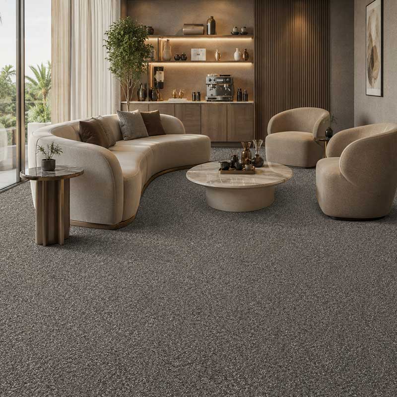 Wall To Wall Carpet Standard Carpets Homeland CRP STDCRP HOMEL 05 Modern Lounge