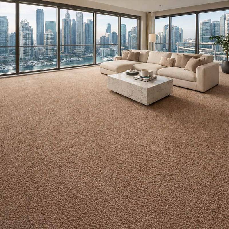 duchesse deluxe 3 wall to wall carpet in living room