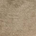 Wall To Wall Carpet Tiles CRP BLT GLOR 01