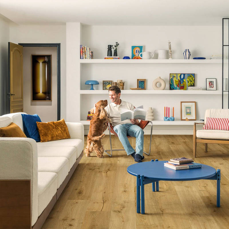 quick step impressive truffle oak laminate flooring in living space with man and dog