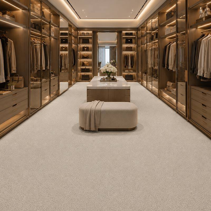 Wall To Wall Carpet Standard Carpets Magic Moment CRP STDCRP POSH60 01 Modern Dressing Room