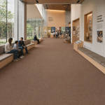 Wall To Wall Carpet BCM Savage Abundance CRP BLT SA 08 Cultural Space With Interactive Exhibits