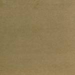 Wall To Wall Carpet BCM Savage Abundance CRP BLT SA 06
