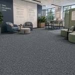Shark 980 Carpet Tiles Modern Corporate Breakout Space Interior