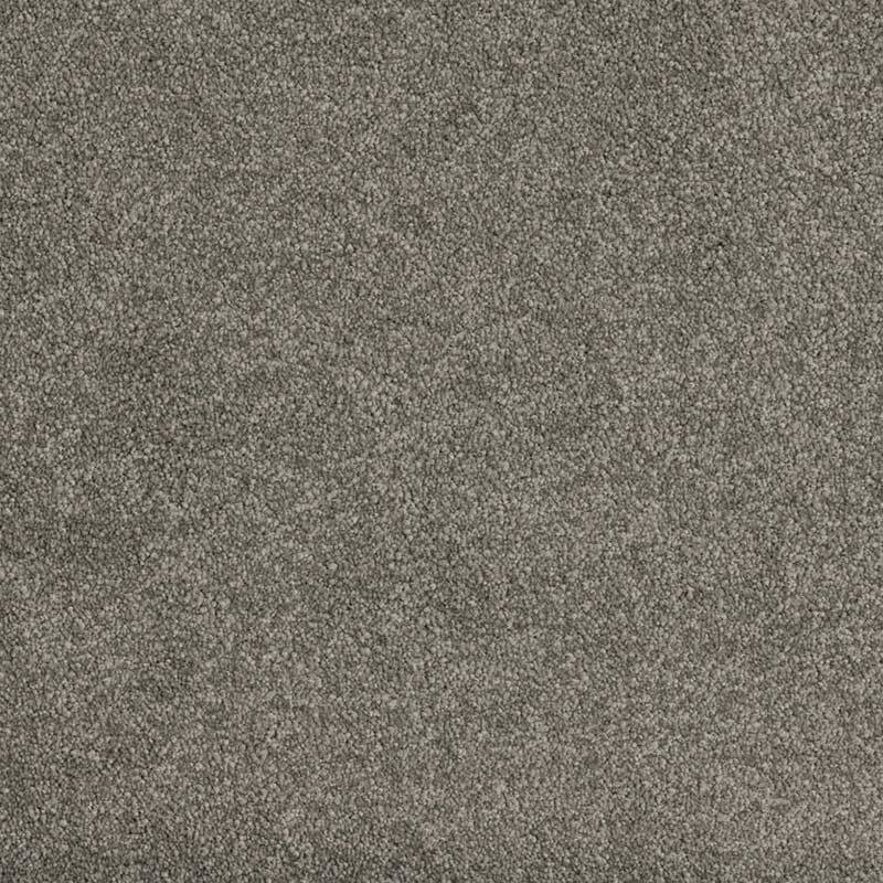 Standard Carpet Magic Moment CRP STDCRP POSH60 06
