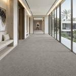 Wall To Wall Carpet Standard Carpets Homeland CRP STDCRP HOMEL 03 Hallway