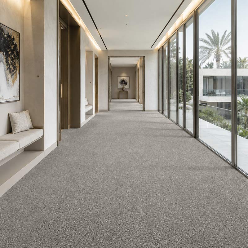 Wall To Wall Carpet Standard Carpets Homeland CRP STDCRP HOMEL 03 Hallway