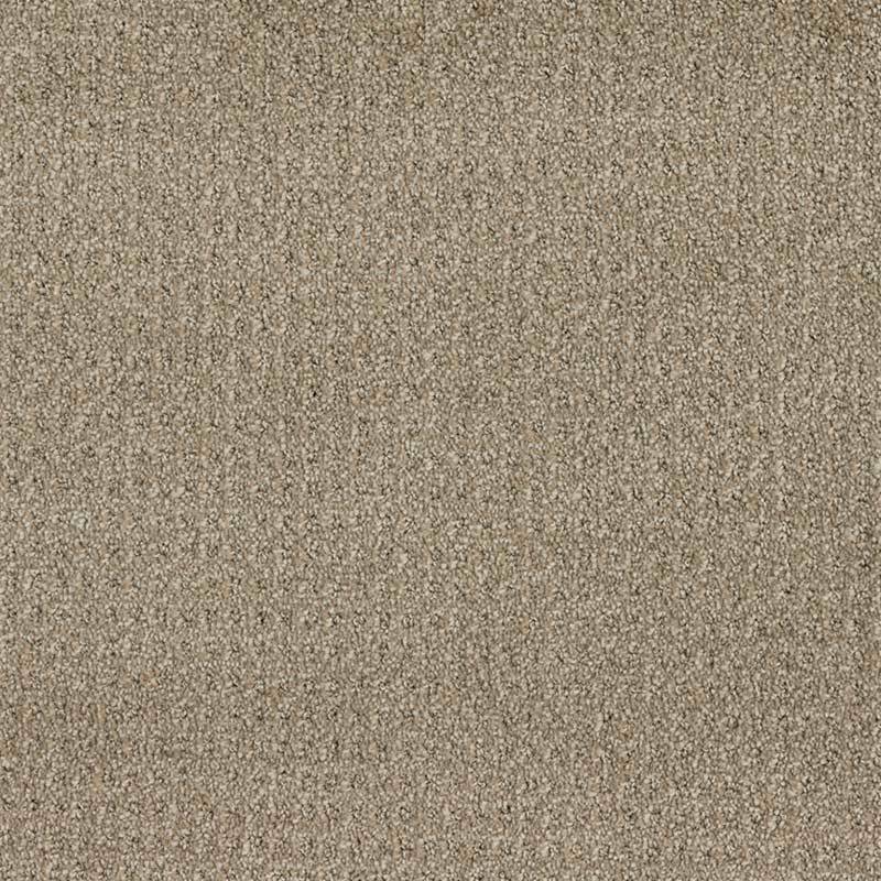 Standard Carpet Seabrook CRP STDCRP SEAB 06 SWATCH