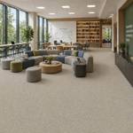 Wall To Wall Carpet Tiles Balta Primrose CRP BLT PRIM 01 Balata Primrose Wall To Wall Carpet CRP BLT PRIM 01 Modern Minimalist Living Room