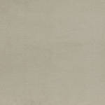 Wall To Wall Carpet BCM Savage Abundance CRP BLT SA 02
