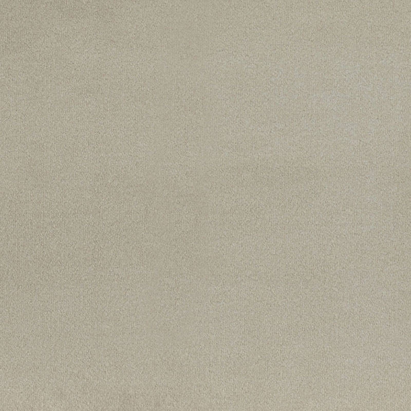 Wall To Wall Carpet BCM Savage Abundance CRP BLT SA 02