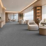 Wall To Wall Carpet BCM Stanage Edge CRP BLT STEDGE 05 Modern Minimalist Waiting Area