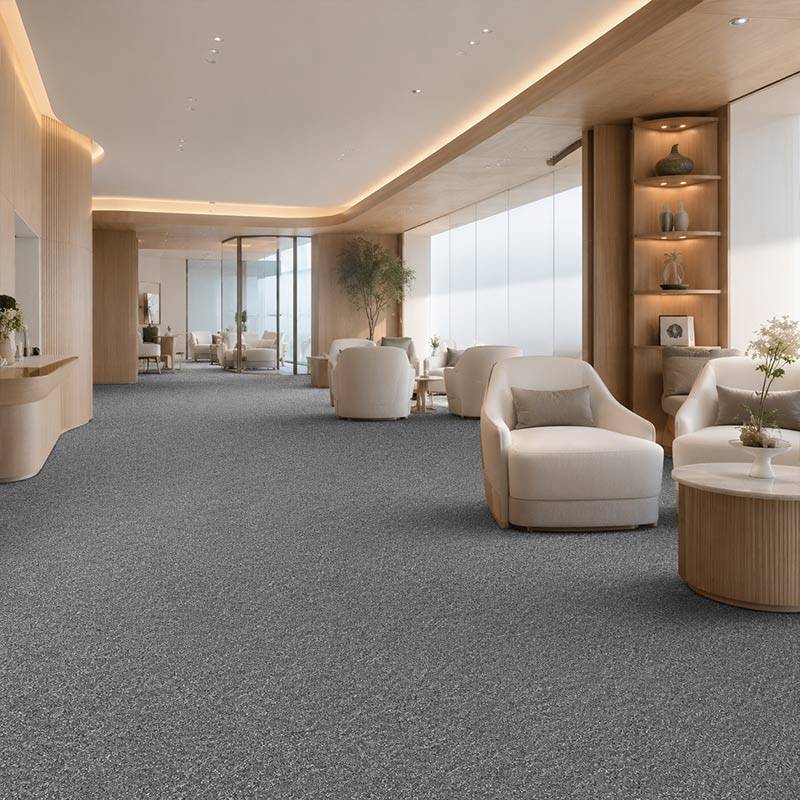 Wall To Wall Carpet BCM Stanage Edge CRP BLT STEDGE 05 Modern Minimalist Waiting Area