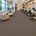 Wall To Wall Carpets BCM Grand Escape CRP STDCRP GRDESC 06 Customer Service Center