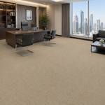 Wall To Wall Carpets BCM Grand Escape CRP STDCRP GRDESC 09 Executive Office