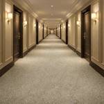 Wall To Wall Carpet For Hotel Corridor CRP BEAUL FAYE