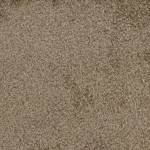 Wall To Wall Carpet Tiles CRP BLT GLOR 06
