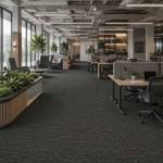 Wall To Wall Carpet Standard Carpet Branson CRP STDCRP BRNS 05 Coworking Space