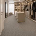 Wall To Wall Carpets BCM Grand Escape CRP STDCRP GRDESC 04 Modern Walk In Closet Interior