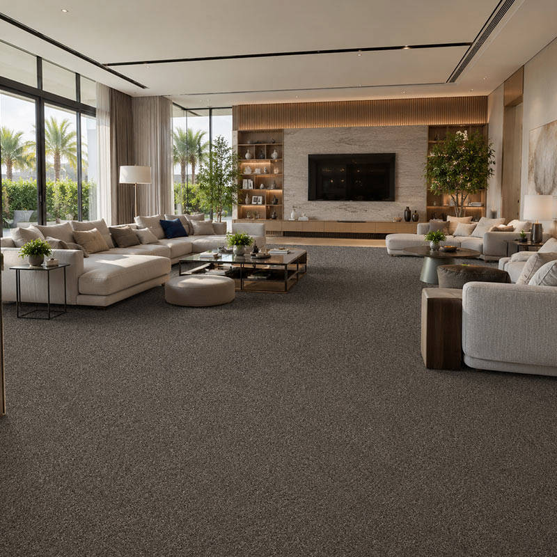 Wall To Wall Carpet Standard Carpets Homeland CRP STDCRP HOMEL 06 Living Room