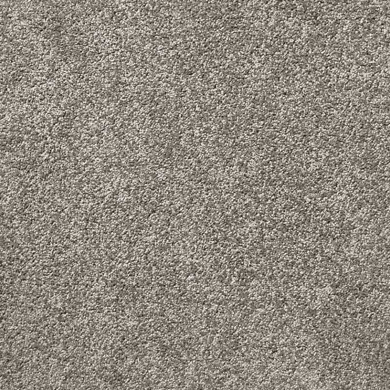 Standard Carpet Homelane CRP STDCRP HOMEL 03