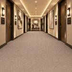 Wall To Wall Carpet For Apartment Corridor With Symmetry CRP BLT ACE 02