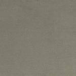 Wall To Wall Carpet BCM Savage Abundance CRP BLT SA 03