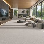Wall To Wall Carpet Tiles CRP BLT GLOR 02 CRP BLT CLOR 02 Modern Media Lounge