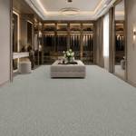 Wall To Wall Carpet Standard Carpets Seabrook CRP STDCRP SEAB 01 Modern Walk In Closet