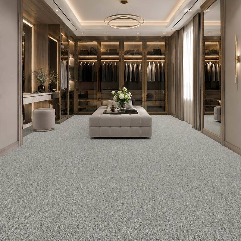 Wall To Wall Carpet Standard Carpets Seabrook CRP STDCRP SEAB 01 Modern Walk In Closet