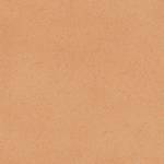 centra sedna t14 sheet vinyl floor