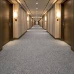 Wall To Wall Carpet For Hotel Corridor CRP BEAUL JAIP 05