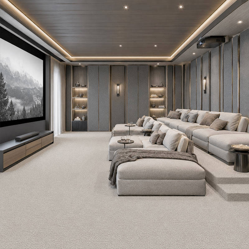 Wall To Wall Carpet Standard Carpet Branson CRP STDCRP BRNS 01 Modern Home Theater