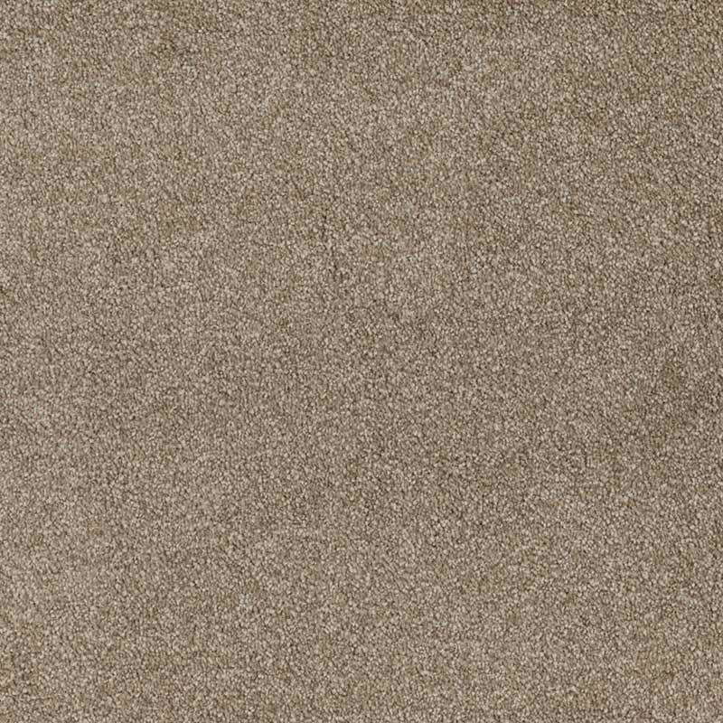 Standard Carpet Magic Moment CRP STDCRP POSH60 03