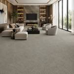 Wall To Wall Carpet Standard Carpets Magic Moment CRP STDCRP POSH60 05 Living Room