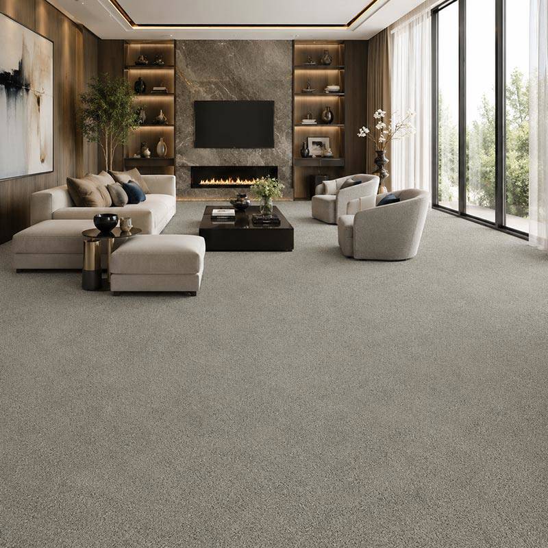 Wall To Wall Carpet Standard Carpets Magic Moment CRP STDCRP POSH60 05 Living Room
