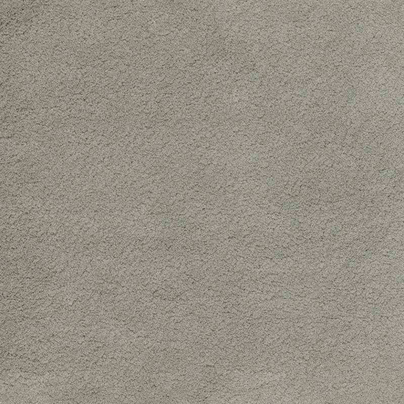 Wall To Wall Carpet BCM Wealthy Gathering CRP BLT WG 08