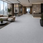 Wall To Wall Carpet BCM Stanage Edge CRP BLT STEDGE 01 Modern Corporate Lobby