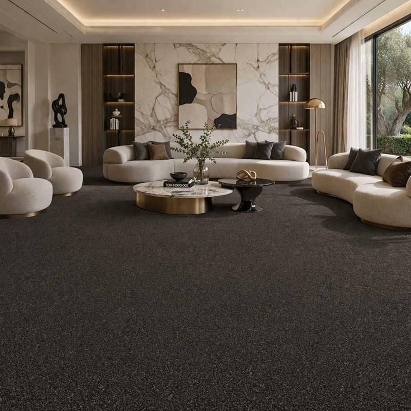 Amaryllis Carpet Tiles CRP BLT ANMN 01 Modern Luxury Living Room With Natural Light