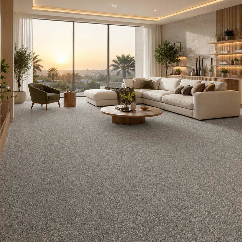 Wall To Wall Carpet Standard Carpets Homeland CRP STDCRP HOMEL 03 Living Room