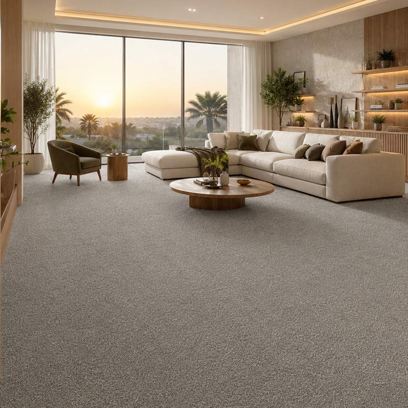 Wall To Wall Carpet Standard Carpets Homeland CRP STDCRP HOMEL 03 Living Room