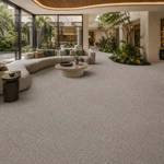 Wall To Wall Carpet BCM Stanage Edge CRP BLT STEDGE 04 Luxurious Biophilic Living Room