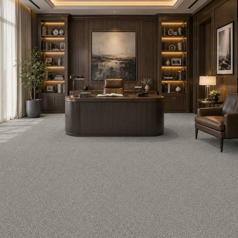 Wall To Wall Carpet Standard Carpets Magic Moment CRP STDCRP POSH60 09 Modern Library