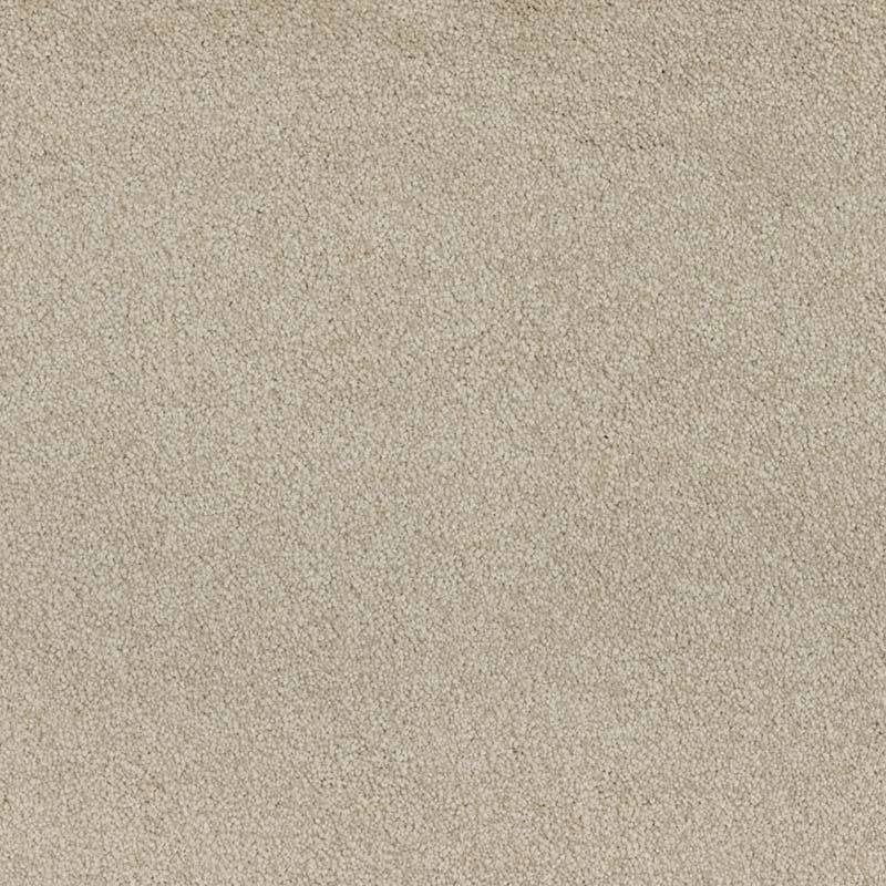 Standard Carpet Magic Moment CRP STDCRP POSH60 01