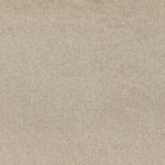 Standard Carpet Magic Moment CRP STDCRP POSH60 01