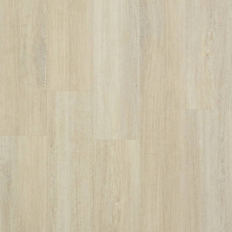 HK GBVS011 Coriander